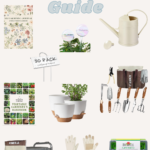 Plants Lover Gift Guide